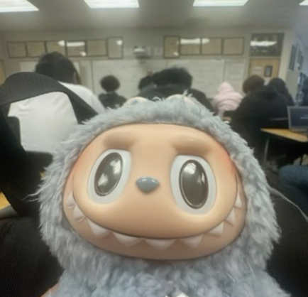 selfie of a furry smiling labubu in a classroom in India which is a collectible